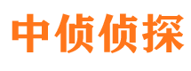 双桥市婚外情调查